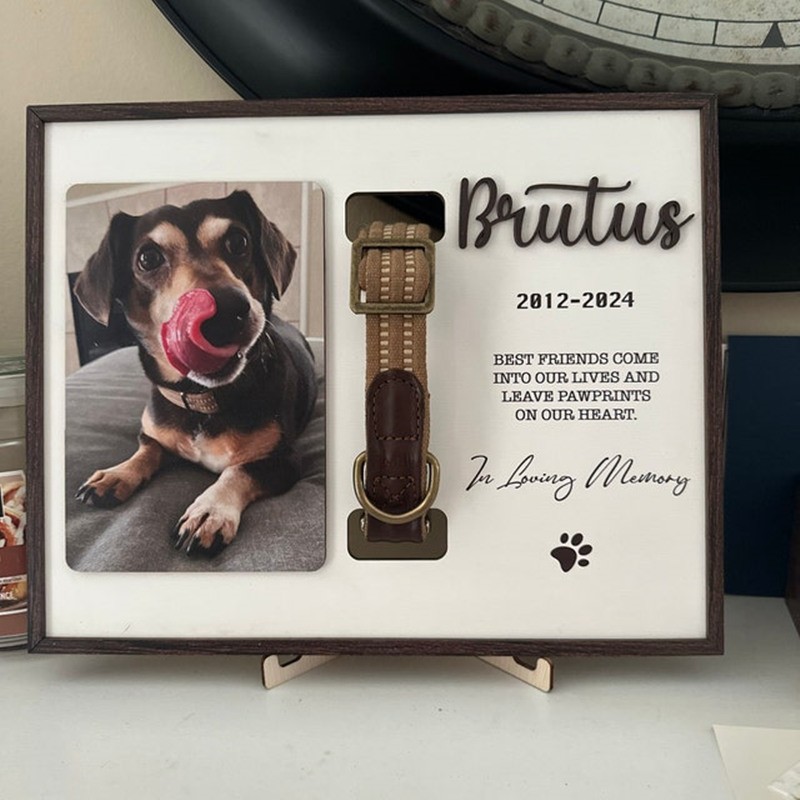 Collier de chien personnalisé support cadre commémoratif perte d’animal de compagnie cadeau