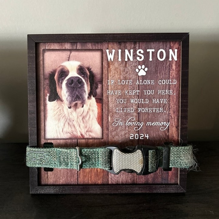Collier de chien personnalisé support cadre commémoratif perte d’animal de compagnie cadeau