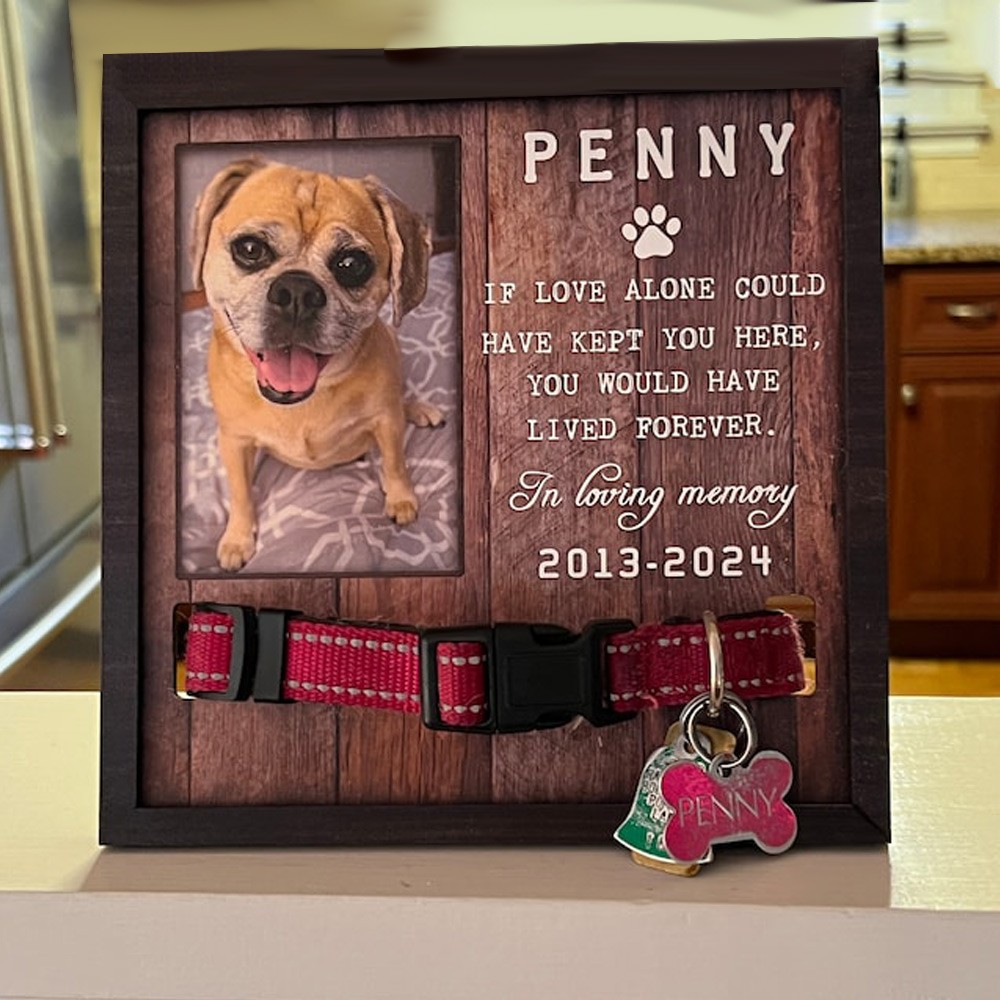 Collier de chien personnalisé support cadre commémoratif perte d’animal de compagnie cadeau
