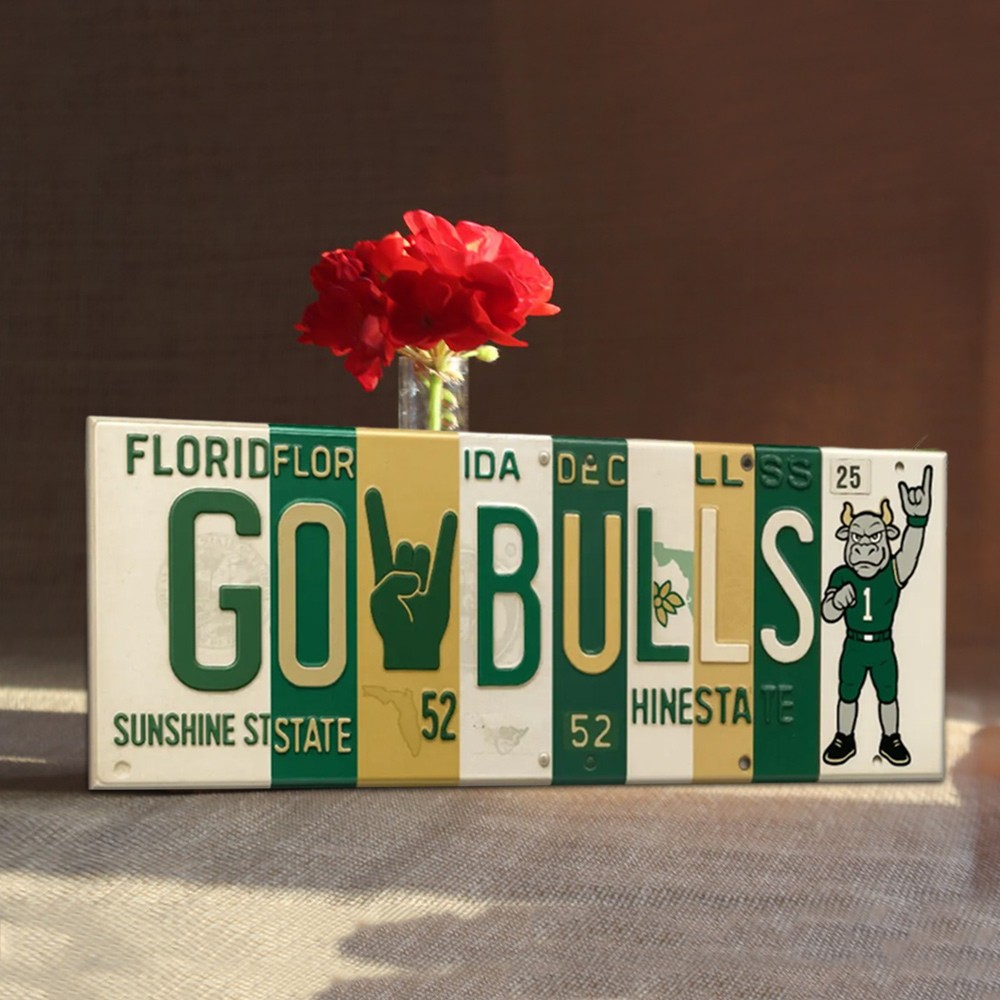 GO BULLS License-plate sign – South Florida collage Wall Art Game Day Decor Christmas Gift