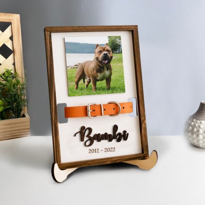 Personalized Loss of Pet Collar Frame Memorial Gift For Pet Lovers