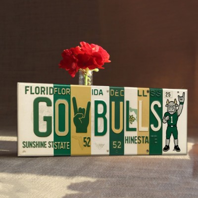 GO BULLS License-plate sign – South Florida collage Wall Art Game Day Decor Christmas Gift